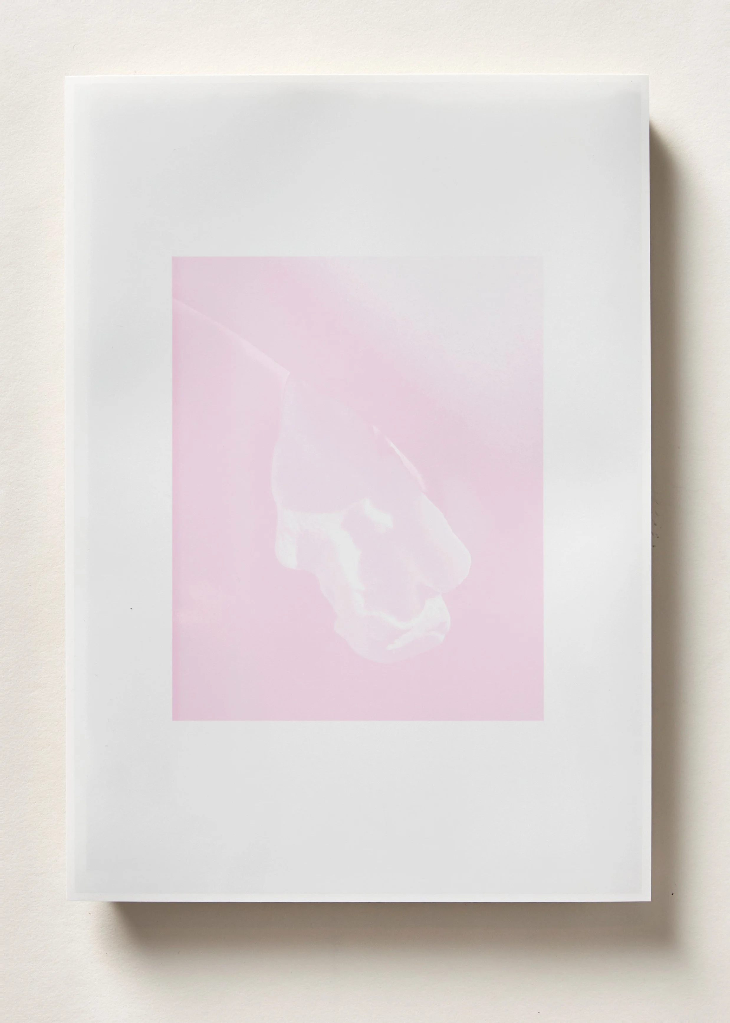 Shebones Soft VII, Inkjet on gloss, 210 x 297 mm (single edition) 