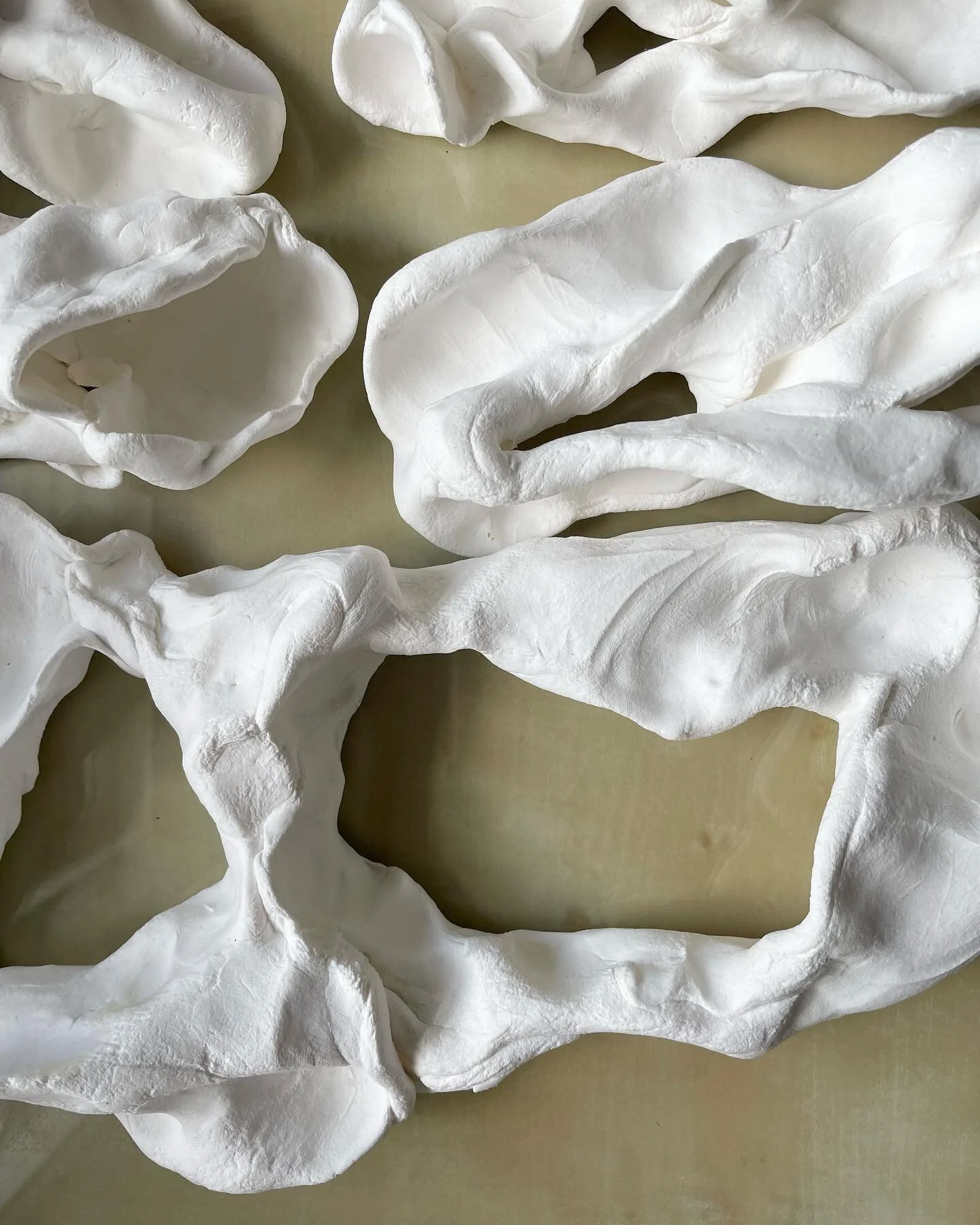 She bones 
.
.
.
#art #artistsoninstagram #sculpture #installation #freeform #contemporaryart