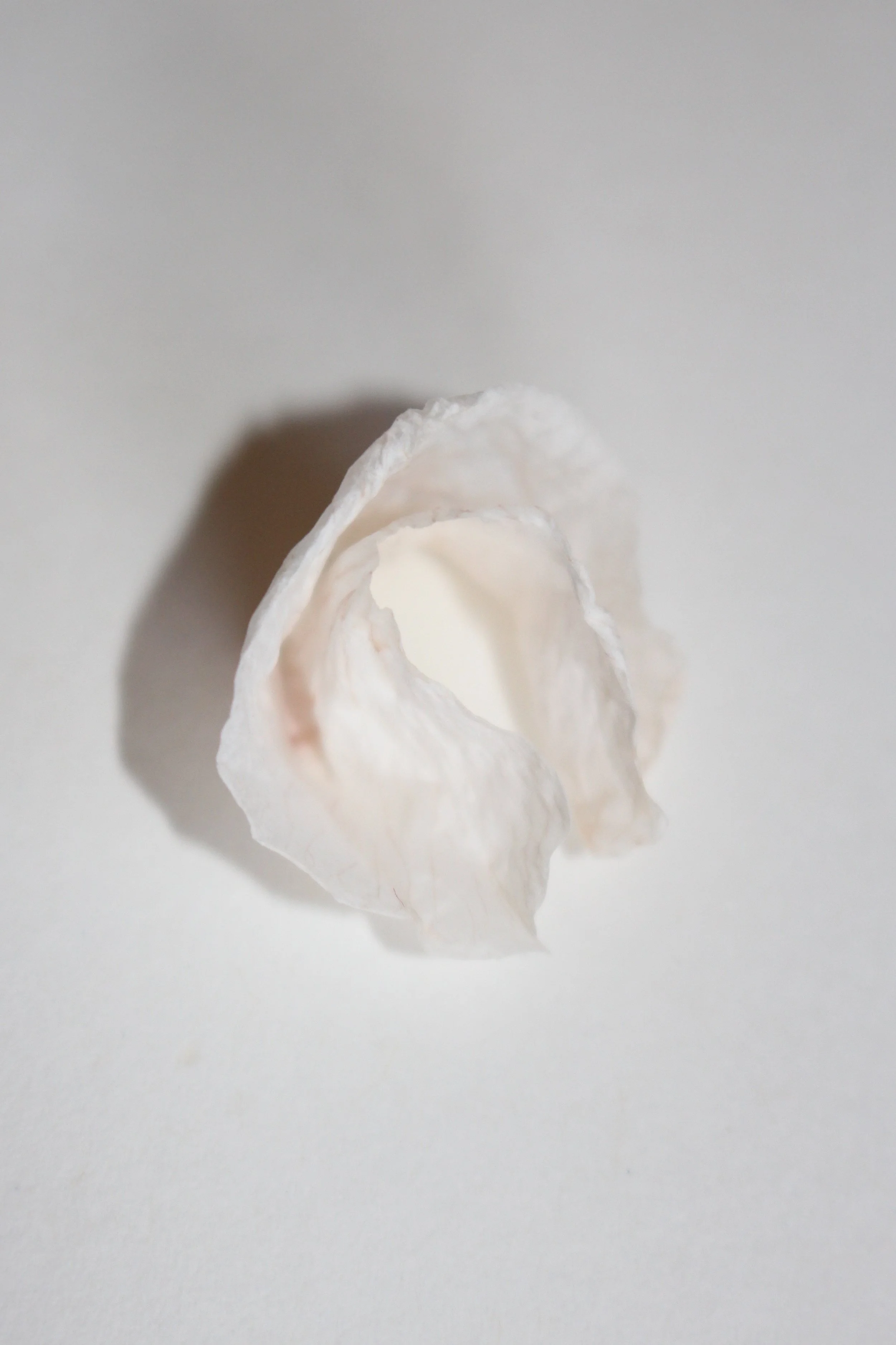Fluer, 2019, Inkjet on cotton rag, 440x630mm (single edition) 
