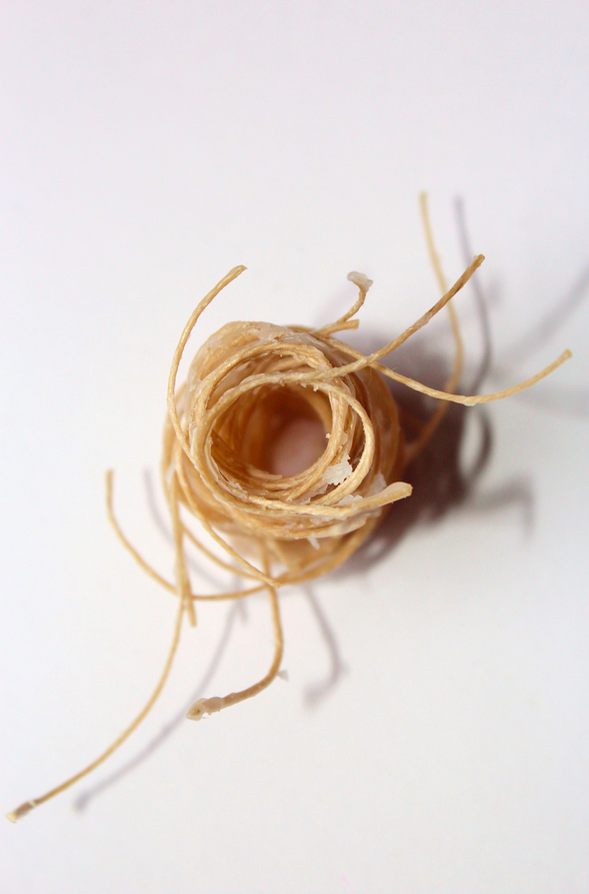Finger, 2014, C-type print, 756x548mm (framed) Single edition 