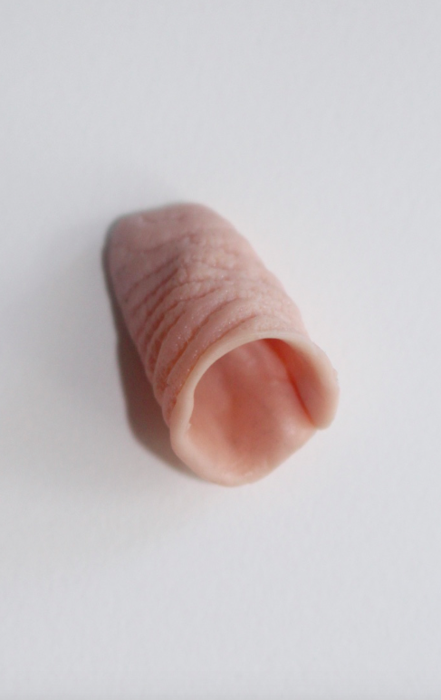 Prepuce, 2020, Inkjet on cotton rag, 297x420mm