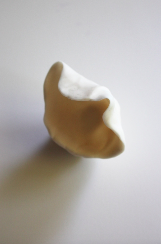Clam, 2020, Inkjet on cotton rag, 310x420mm