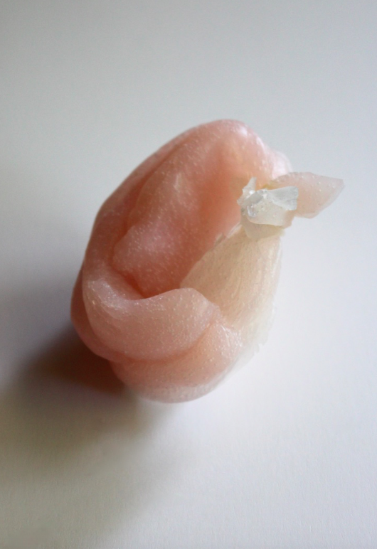Lip Tie, 2020, Inkjet on cotton rag, 310x420mm