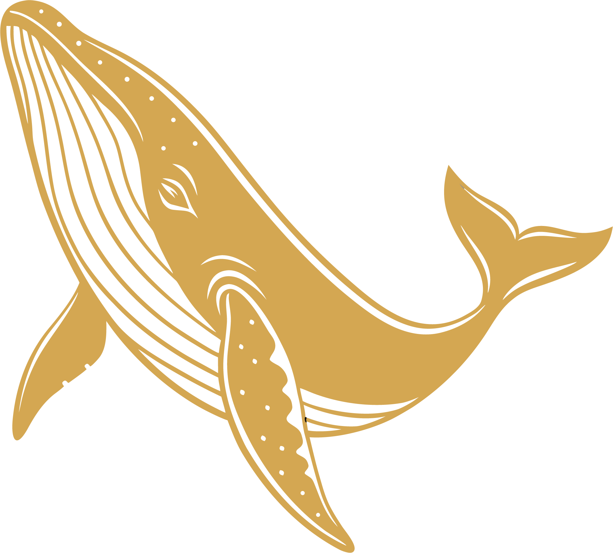 humpback whale icon