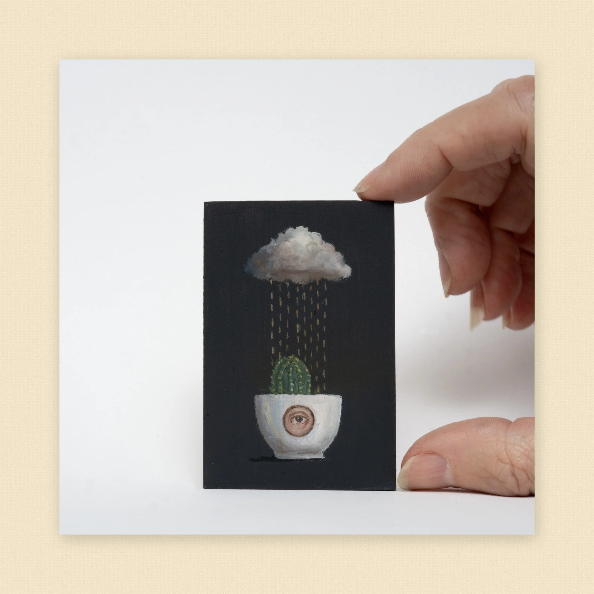 14_cactus-eye-cup-rain.jpg