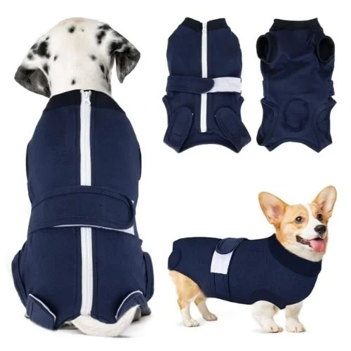 Zip-up dog recovery suit