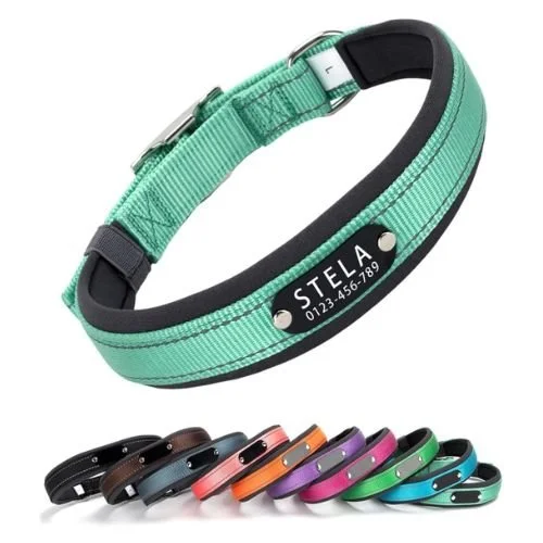 Personalised reflective dog collar