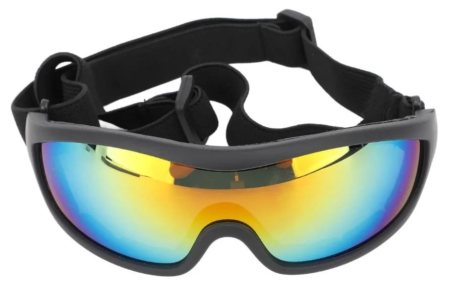 Multi-coloured Dog Sunglasses.