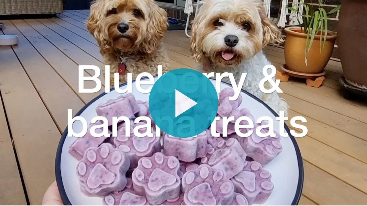 Video: Blueberry and banana frozen treats