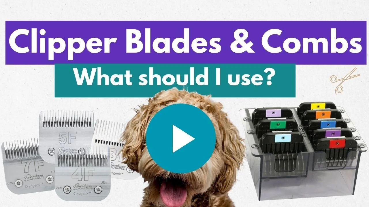 Video: Clipper blades and attachment combs explained