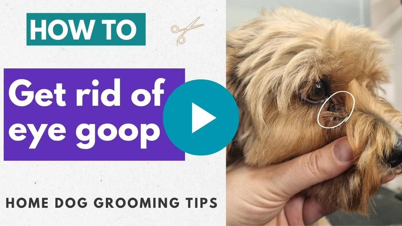 Removing eye goop video