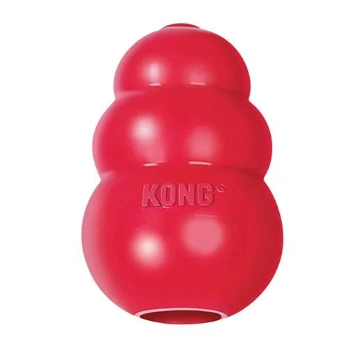 Kong toy