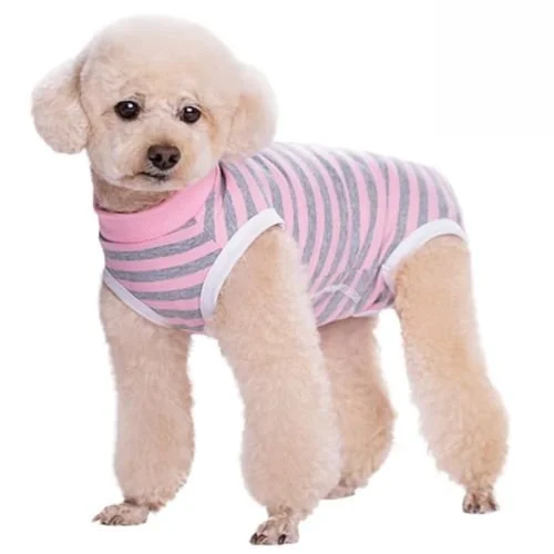 Button-up dog recovery suit