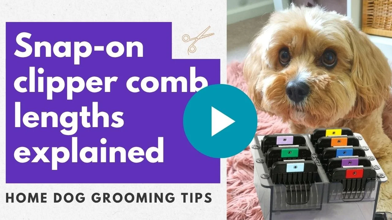 Video: Snap-on comb lengths explained