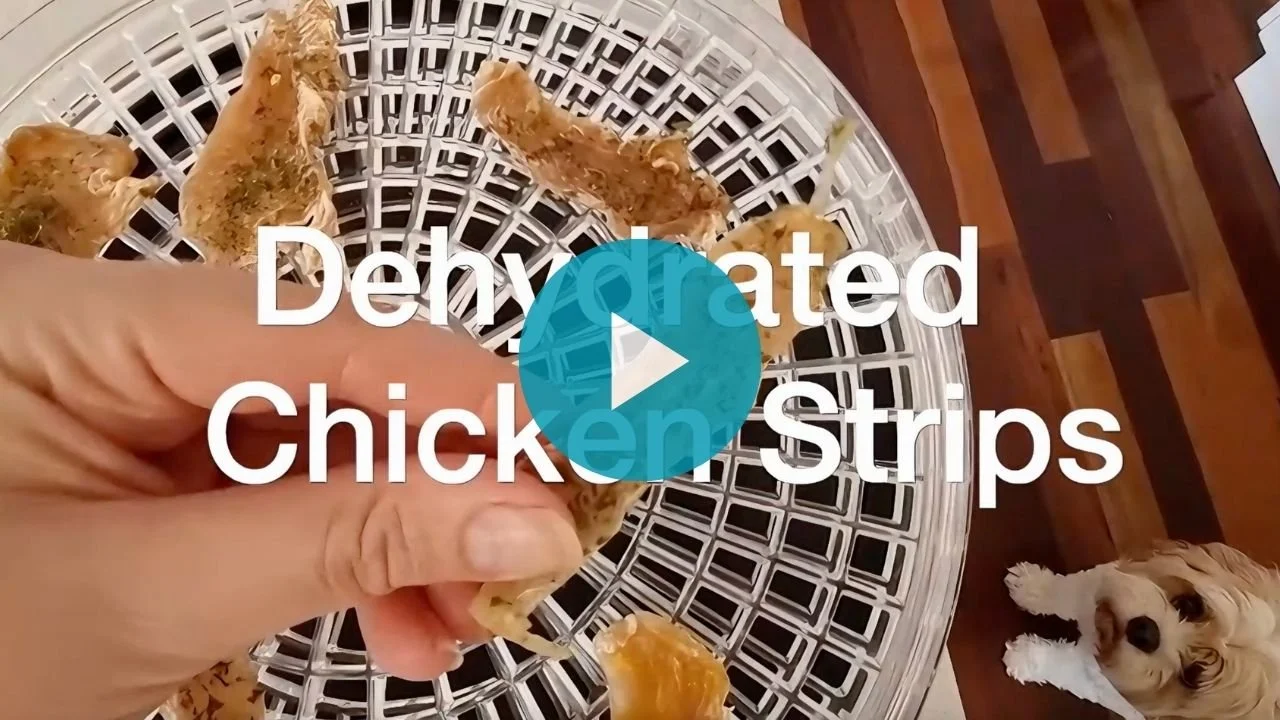Video: Dehydrated chicken strips