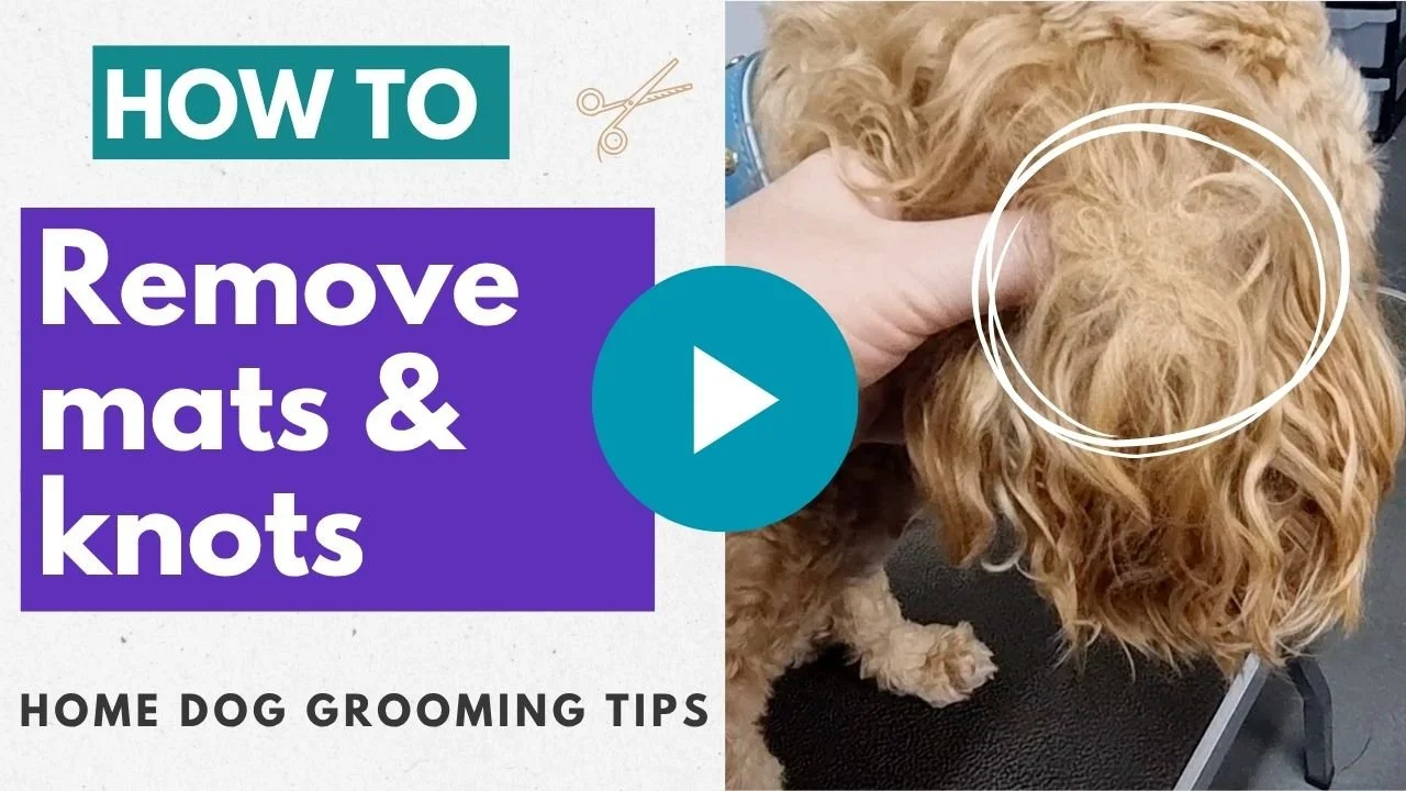 How to remove mats and knots video