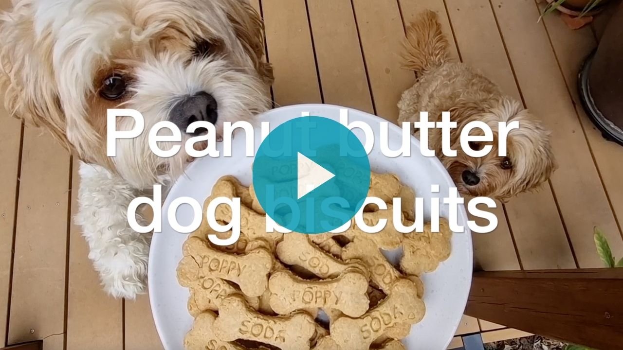 Video: Peanut butter dog biscuits