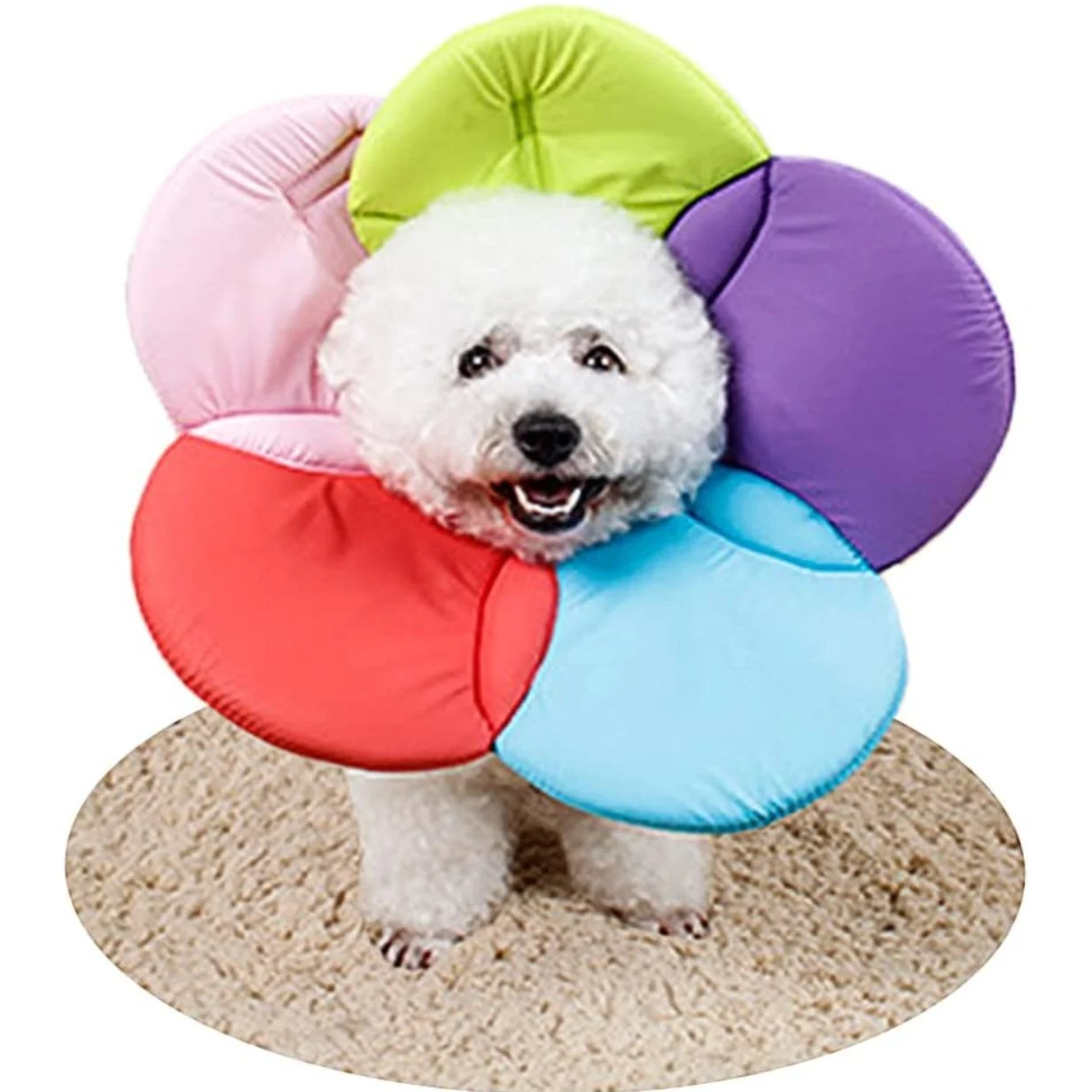 Alternatives To Using A Cone On A Dog Alternatives To The Cone