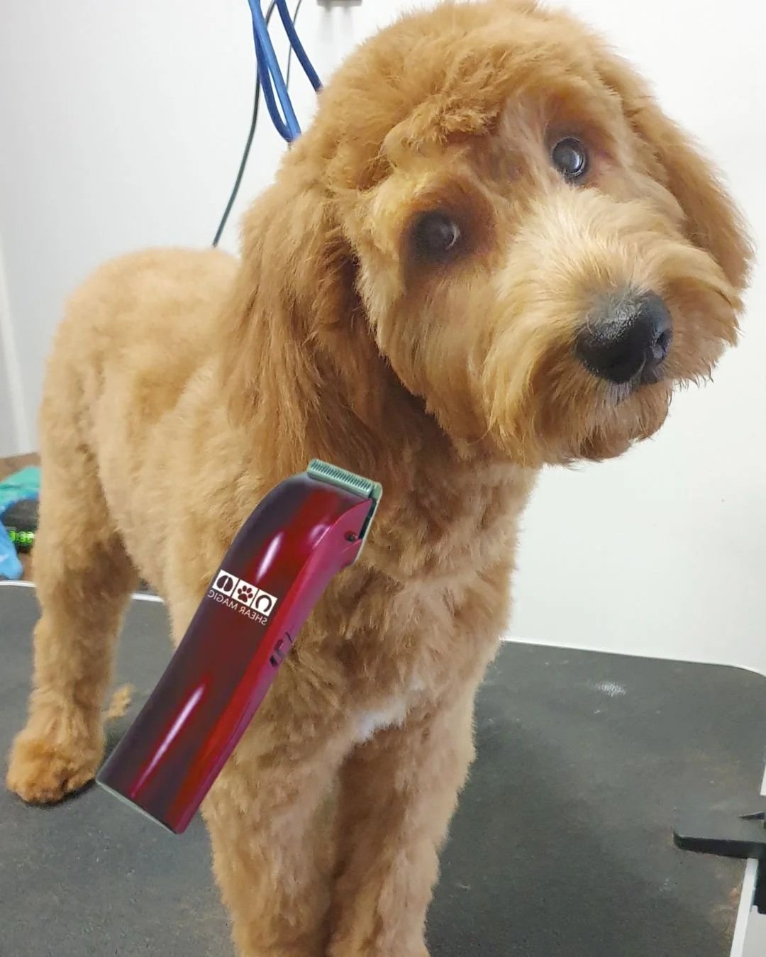 5 areas to use mini trimmers