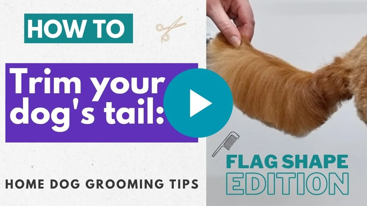 How to trim a flag shaped tail video