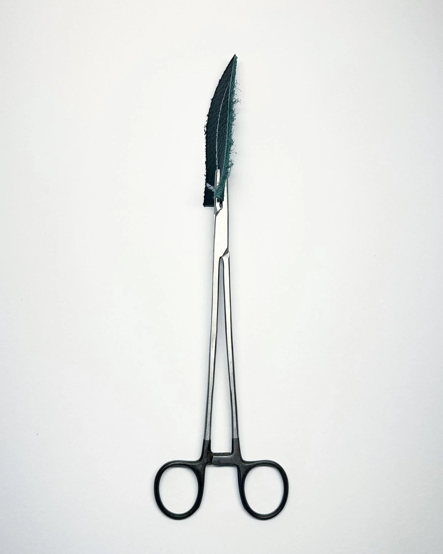 It&rsquo;s a delicate subject 
.
.
.

Finding sensitive areas in my subject matter.

Date: November 2022
Material: Leather scrap, Locking forceps 
Scale: 75mm x 271mm

#leather #wip #lockingfoceps #workinprogress #sensitive #subjectmatter #developing