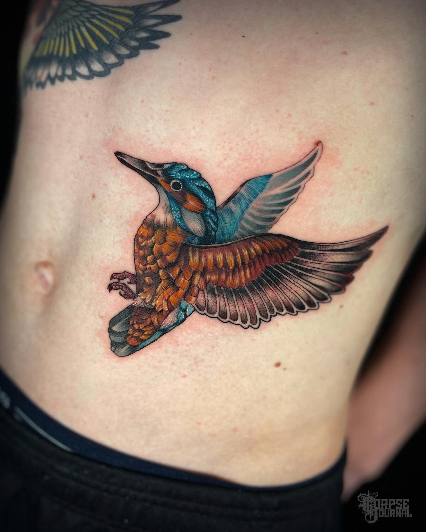 Kingfisher Tattoo Ideas | TattoosAI