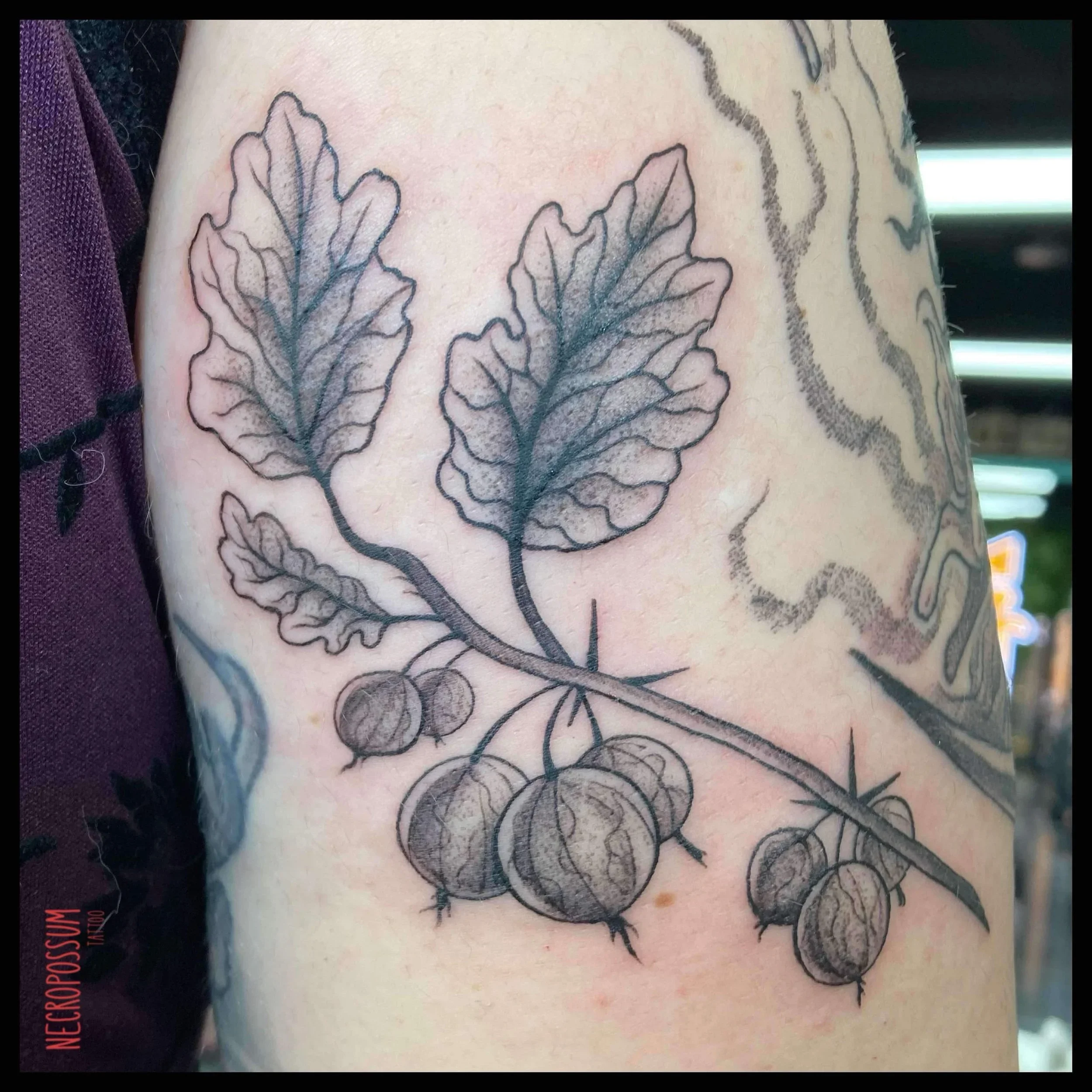 Columbus Ohio Fine Line Tattoo Artist Jade Morris Gahanna Tattoo62.jpeg.webp