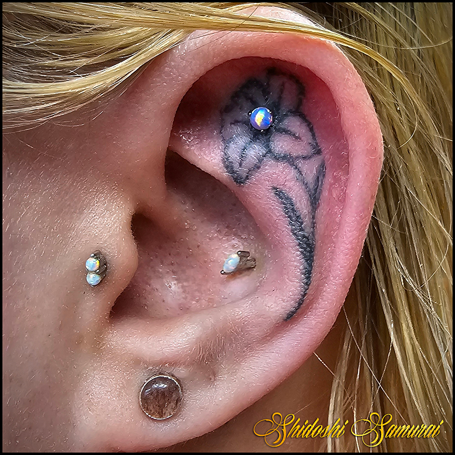 20250215_190204 (watermark-web).png