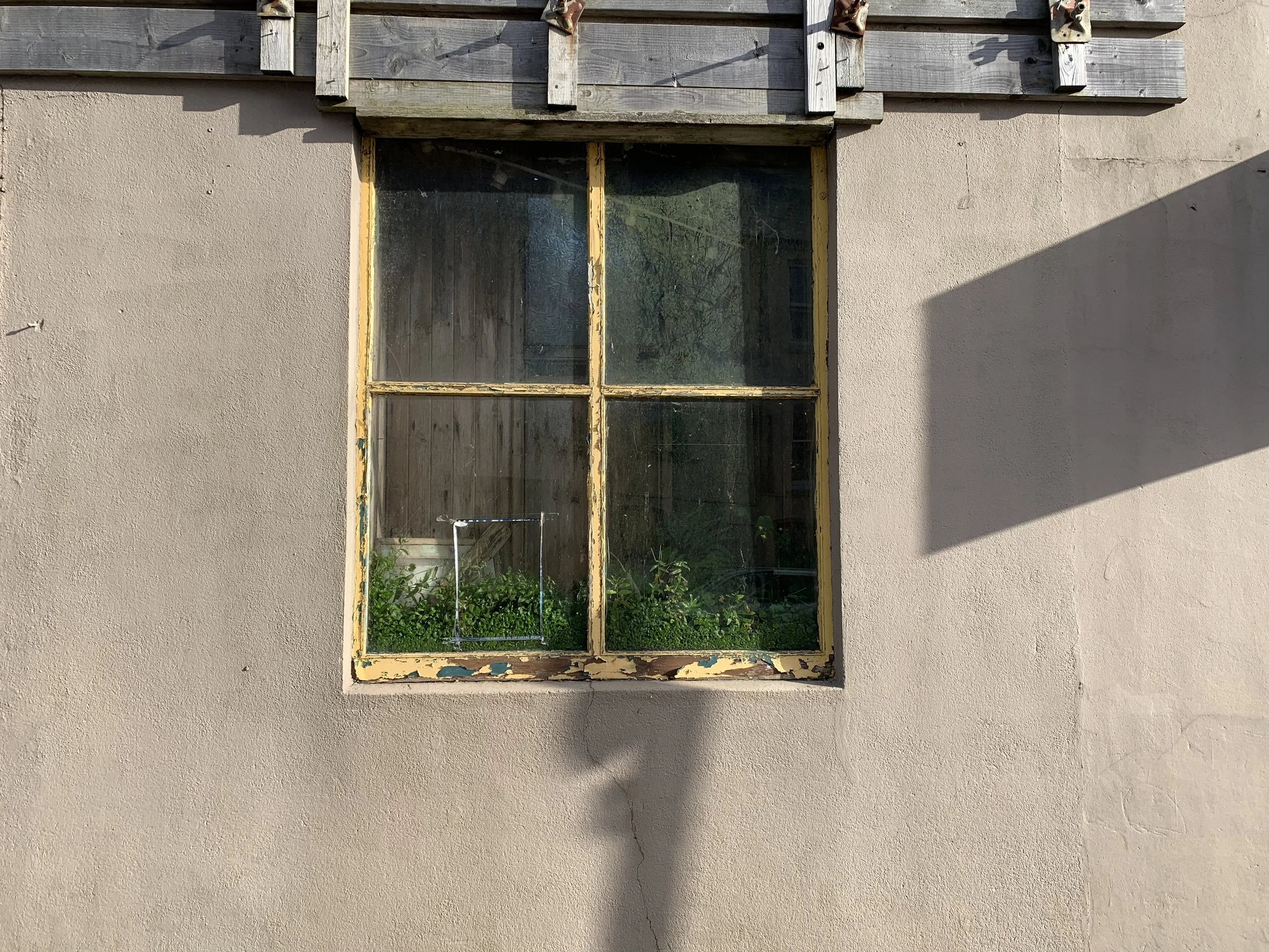 Linen Hall Window.jpeg