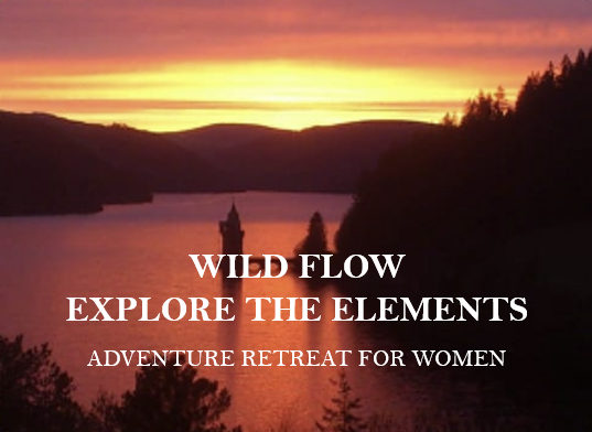 Wild Flow - Explore the Elements