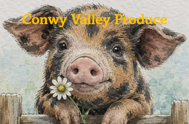Conwy Valley Produce