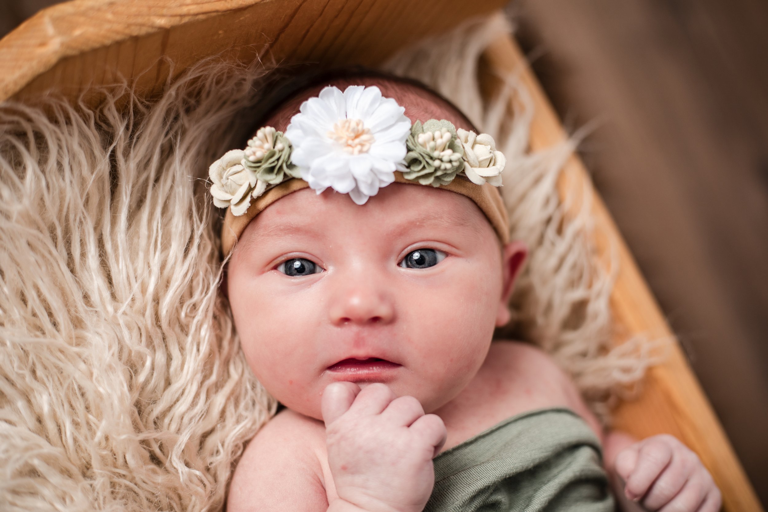 Juniper -31.jpg