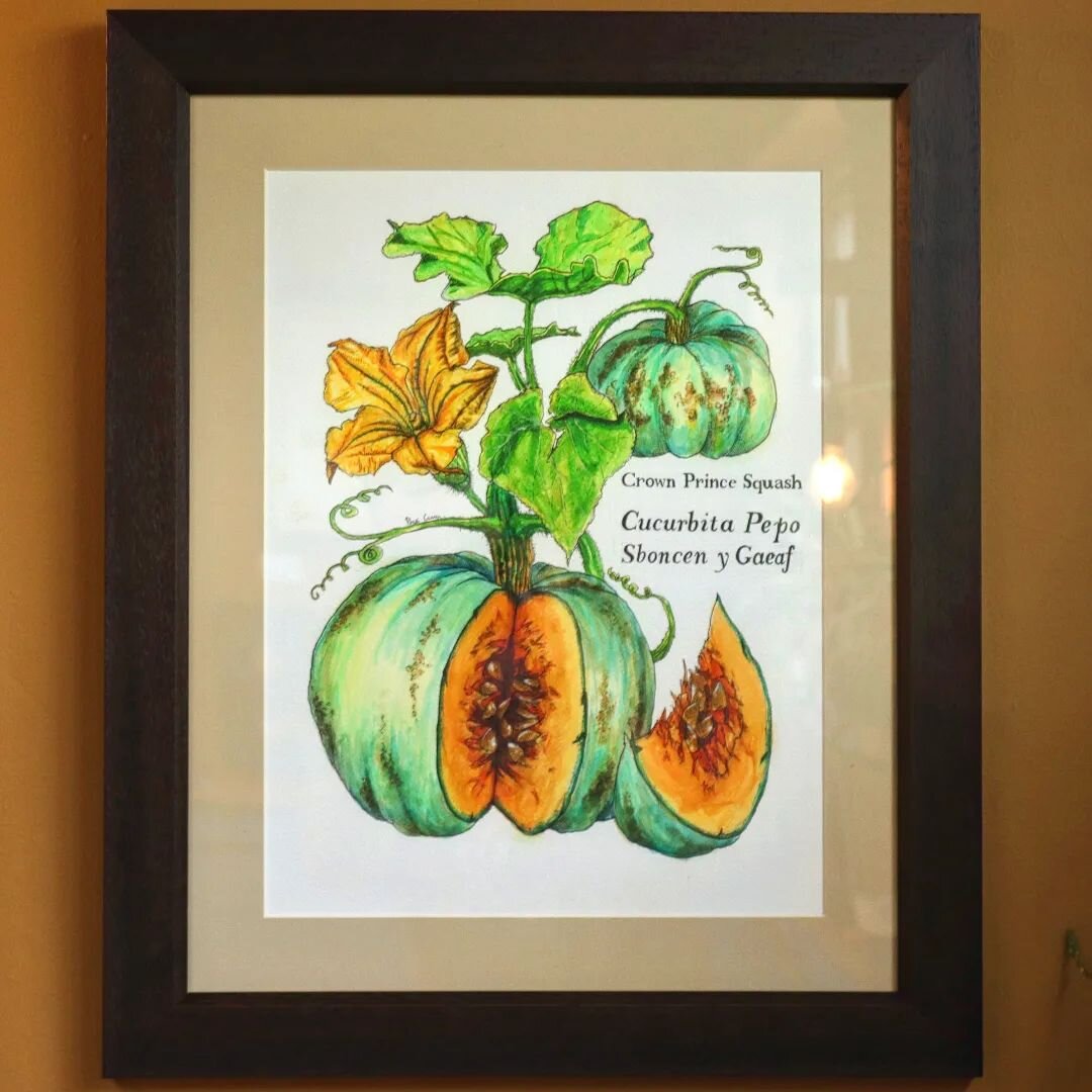 Latest Botanical Illustration for @warrenmanselst

Limited edition prints and greeting cards available soon.

#squash #pumpkin #flowers #flower #vegetables #harvest #stilllife #plants #foraging #organic #painting #watercolour #watercolourart #art #ar