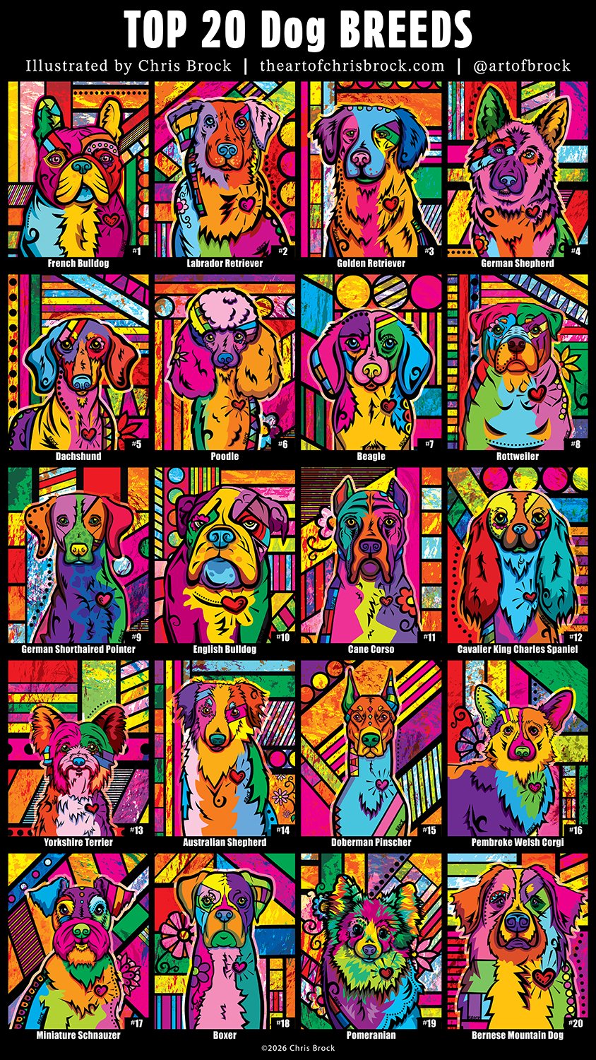 Top 20 AKC Dog Breeds Poster | by Popularity | Bold Modern Art Dog Illustration by Chris Brock