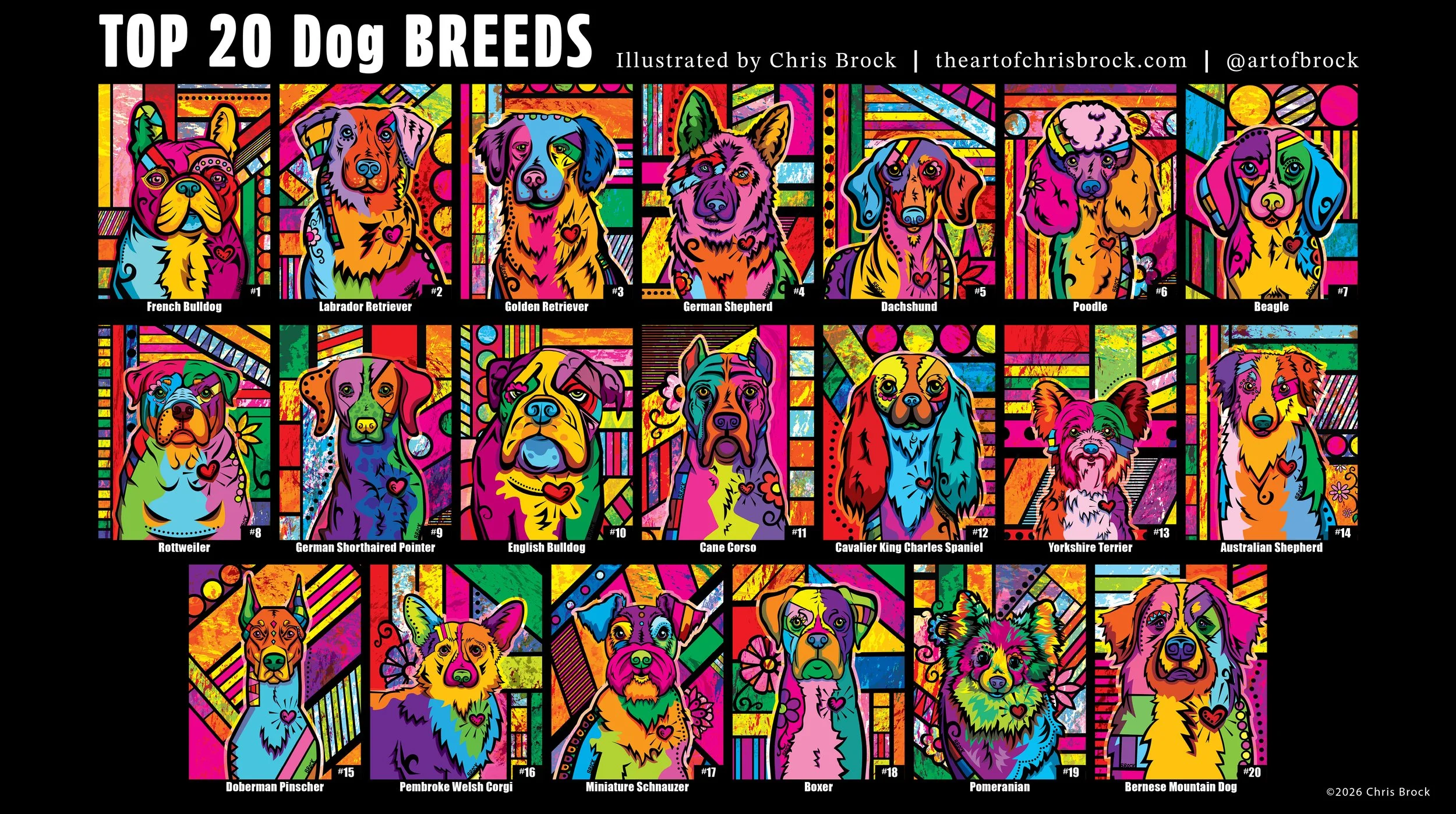 Top 20 Dog Brees Pop Art Illustration. Colorful Contemporary Dog Artwork by Chris Brock.

Colorful pop art illustration featuring the top 20 dog breeds. Contemporary vector dog artwork combining pet portraits, geometric design and bold color. This co
