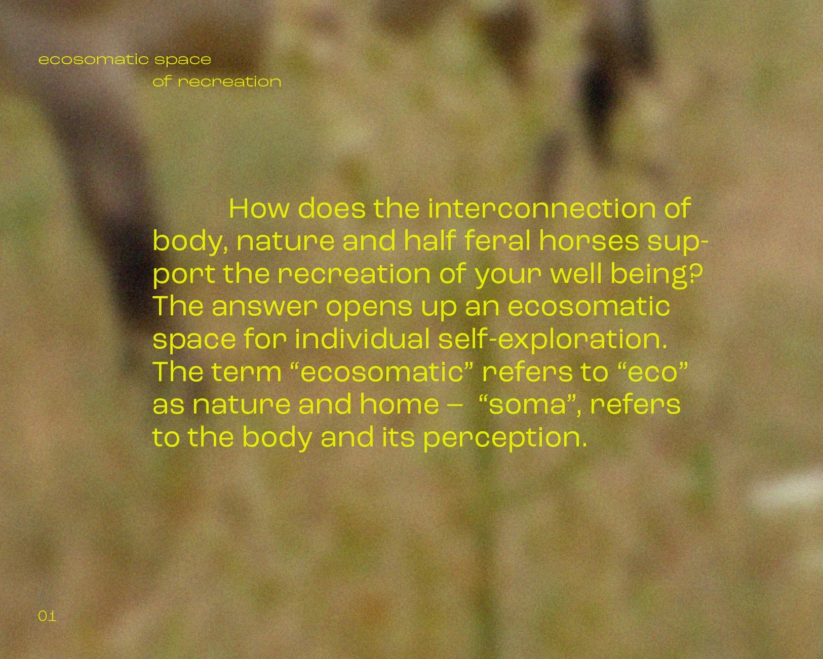 Interbeing Cirlce N°6 · 1st of August 2026