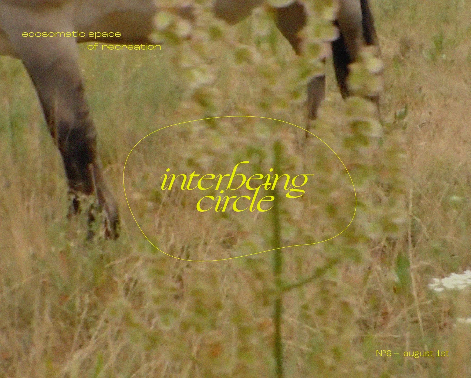 Interbeing Cirlce N°6 · 1st of August 2026 · 2nd pilot gathering with half wild horses