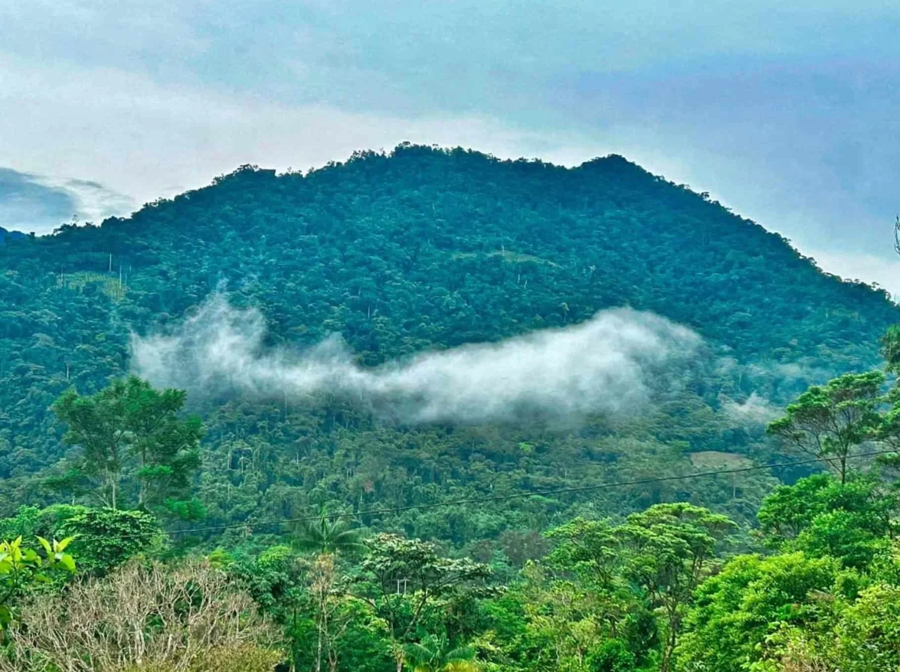 La tierra es para los locales