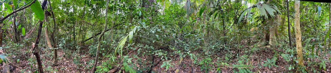 panoramic Embera Puru Community