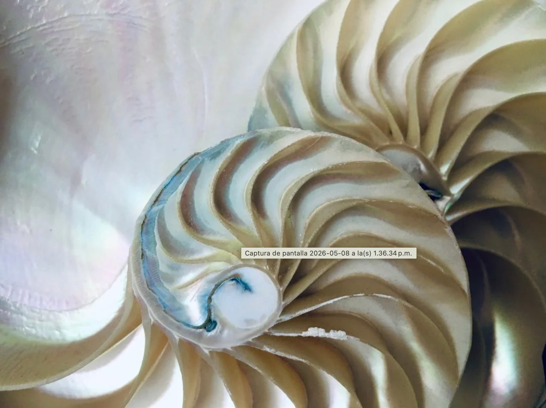 Sciences naturelles