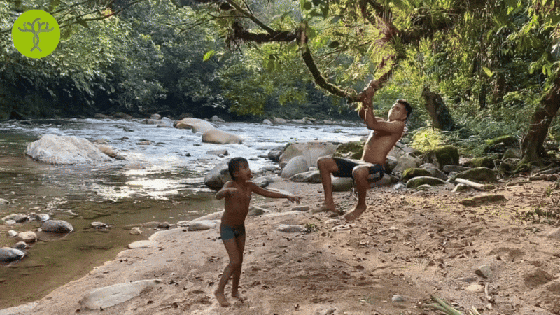 Savimbo AI y aprendizaje automático