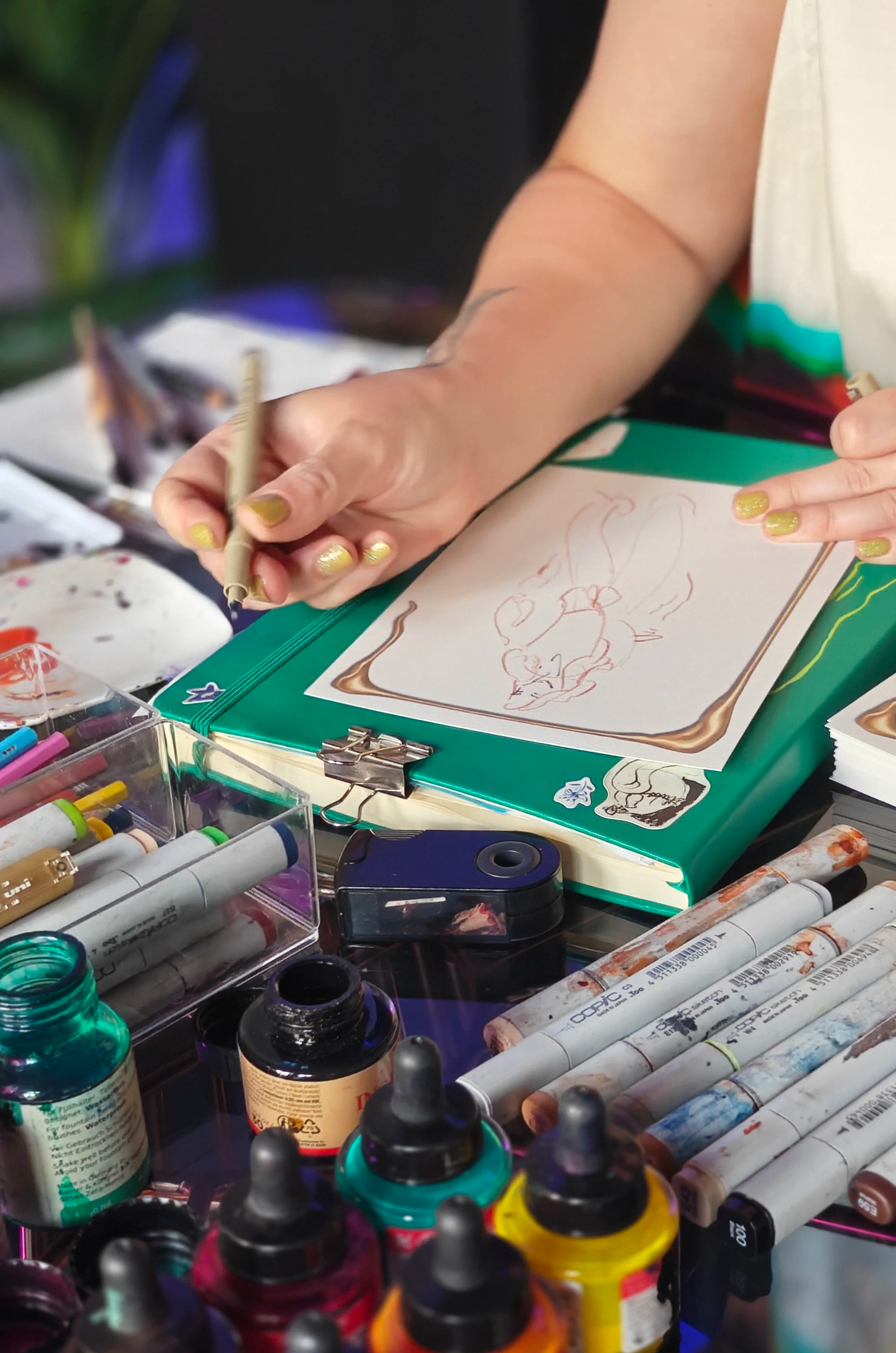 live illustrator belgie