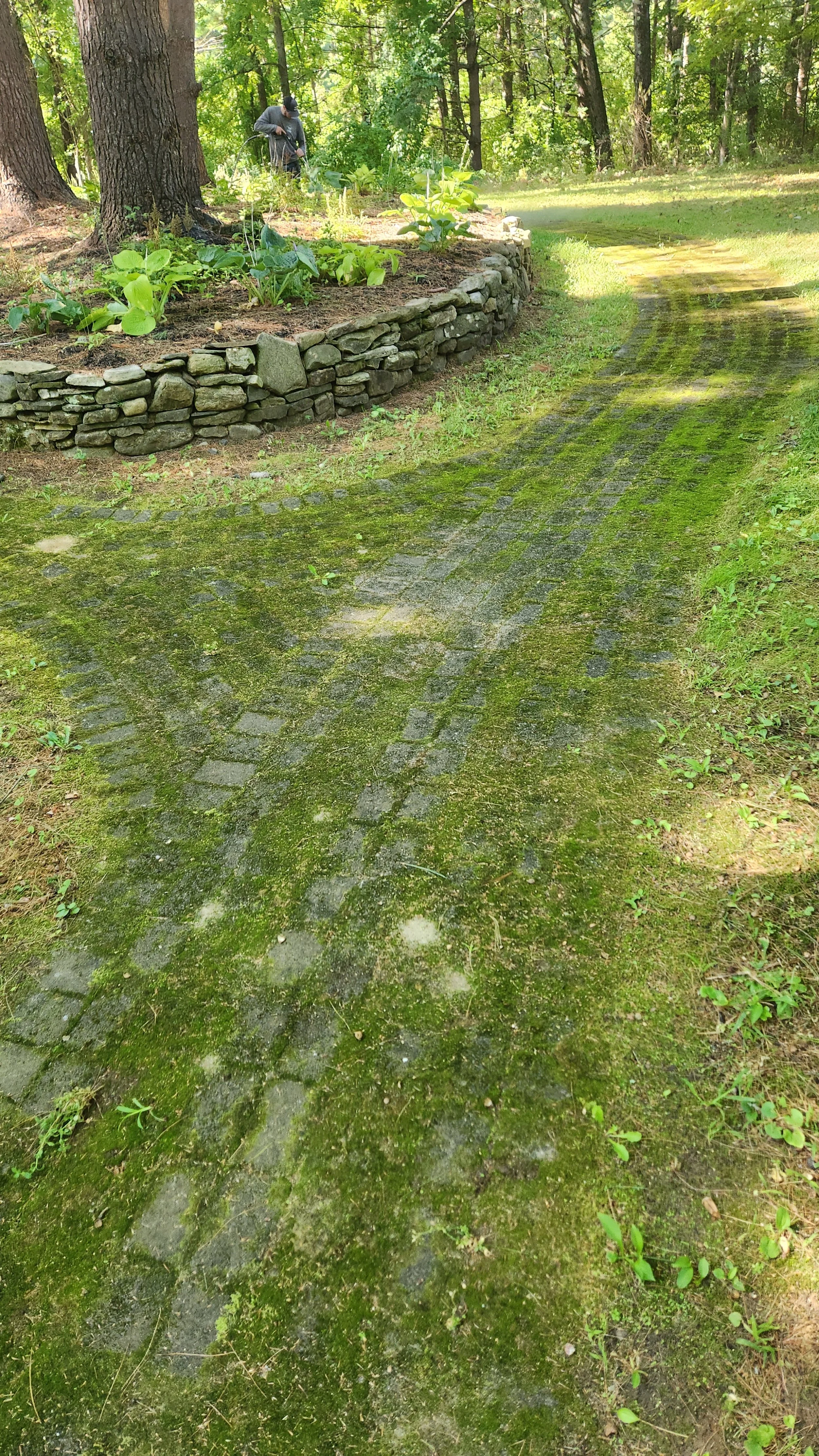 20250908_102213.jpg