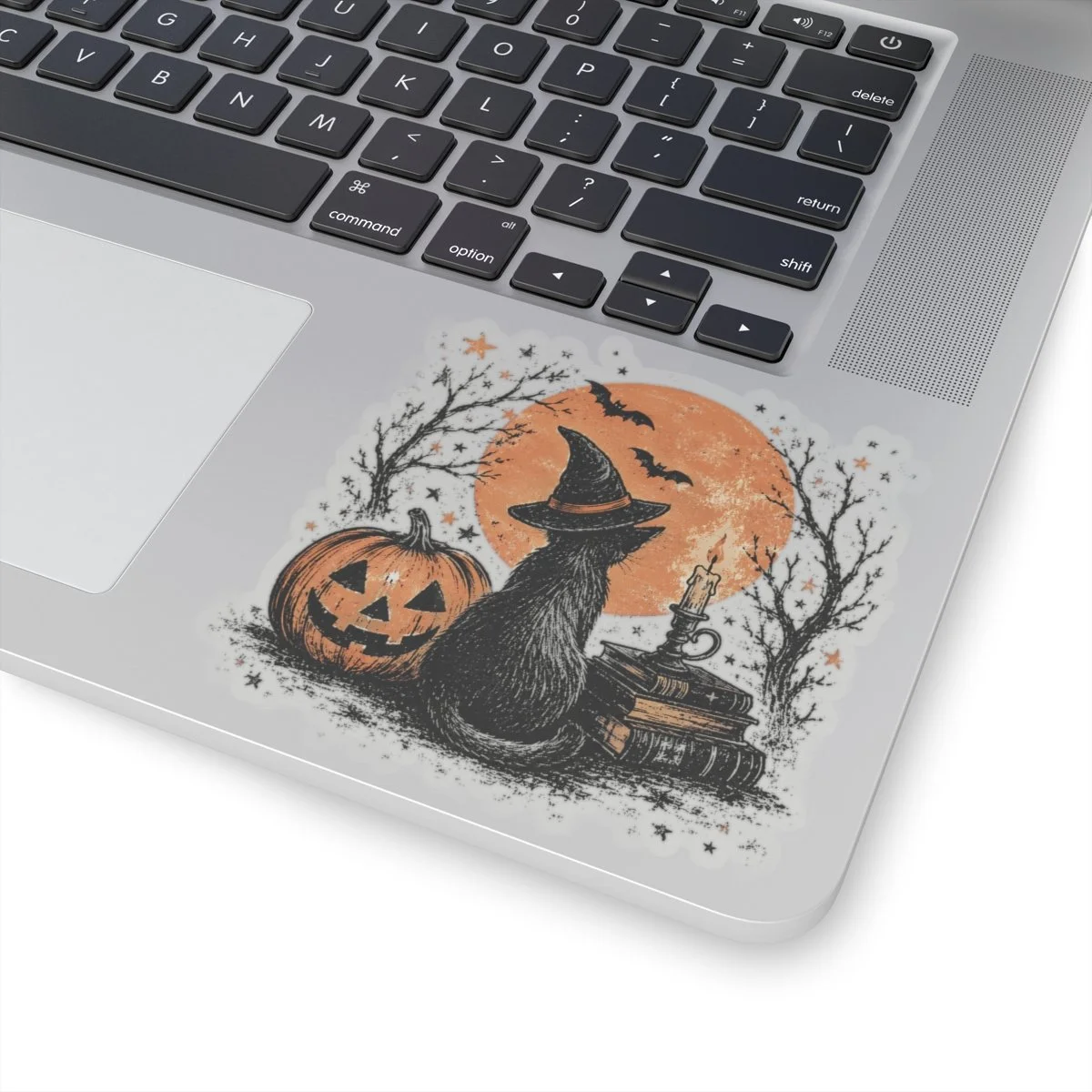Witch cat with a pumpkin and books