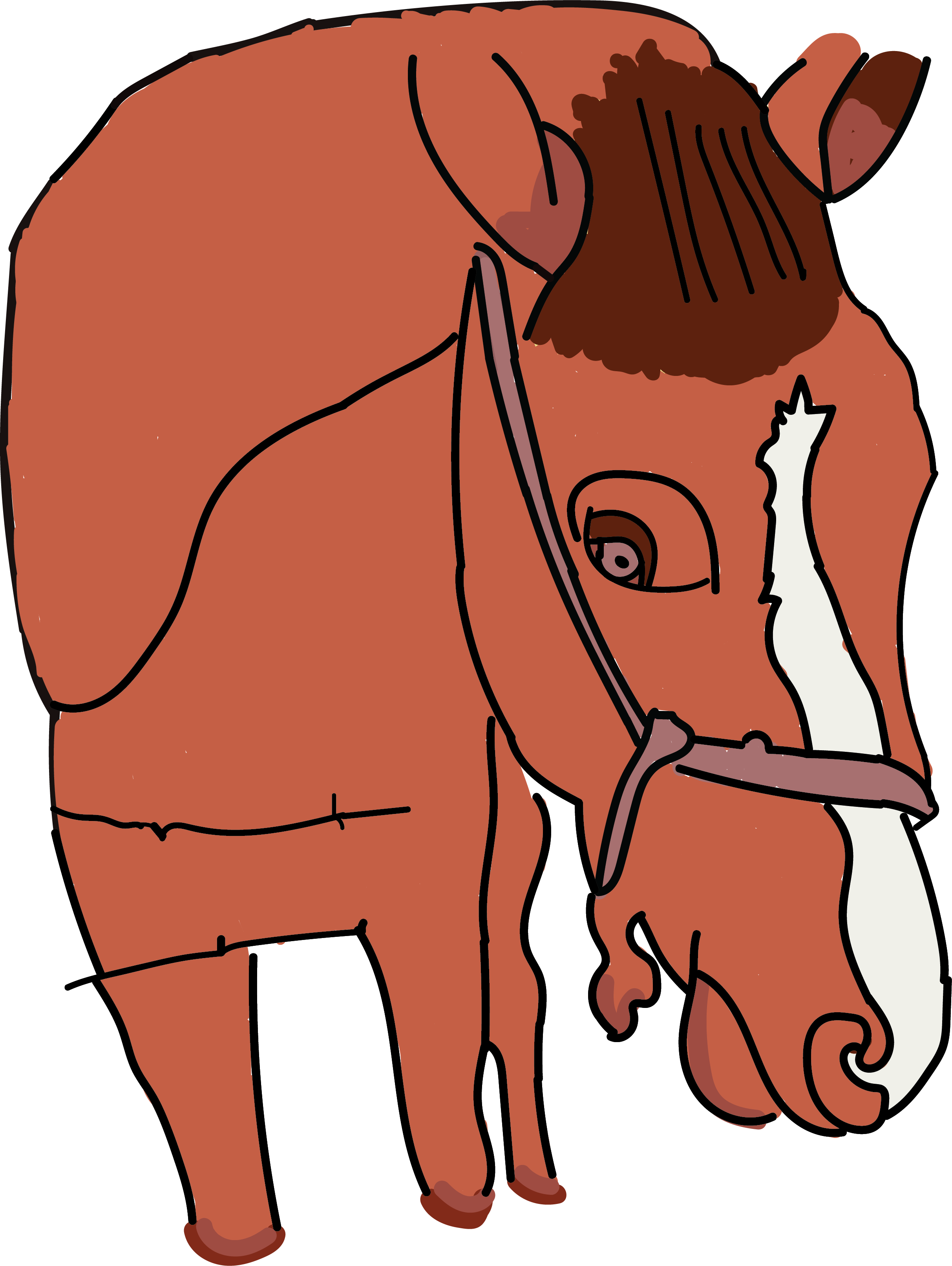 horse.png