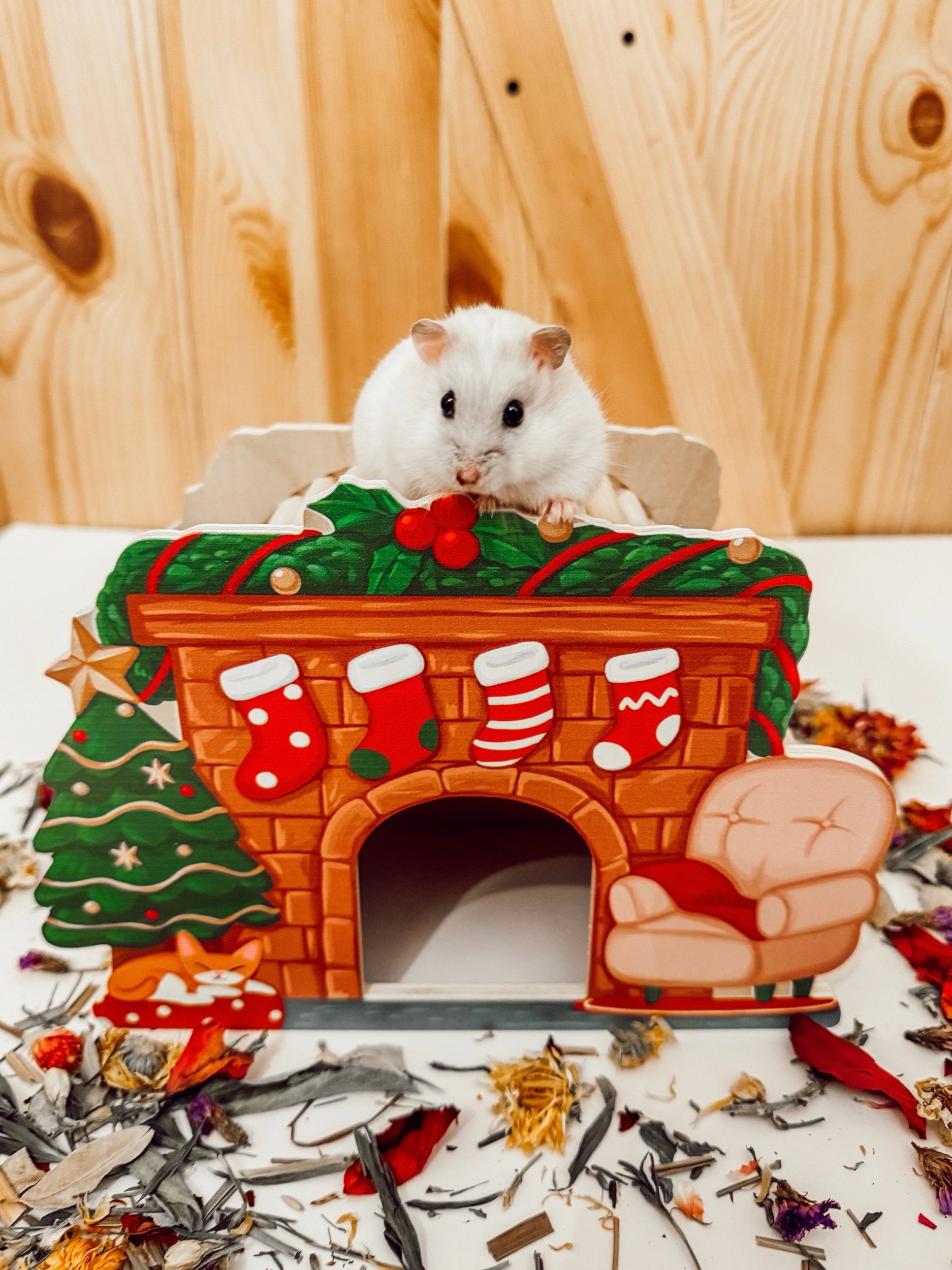 Store Happy Hamstery Winter White Hamsters In South Carolina