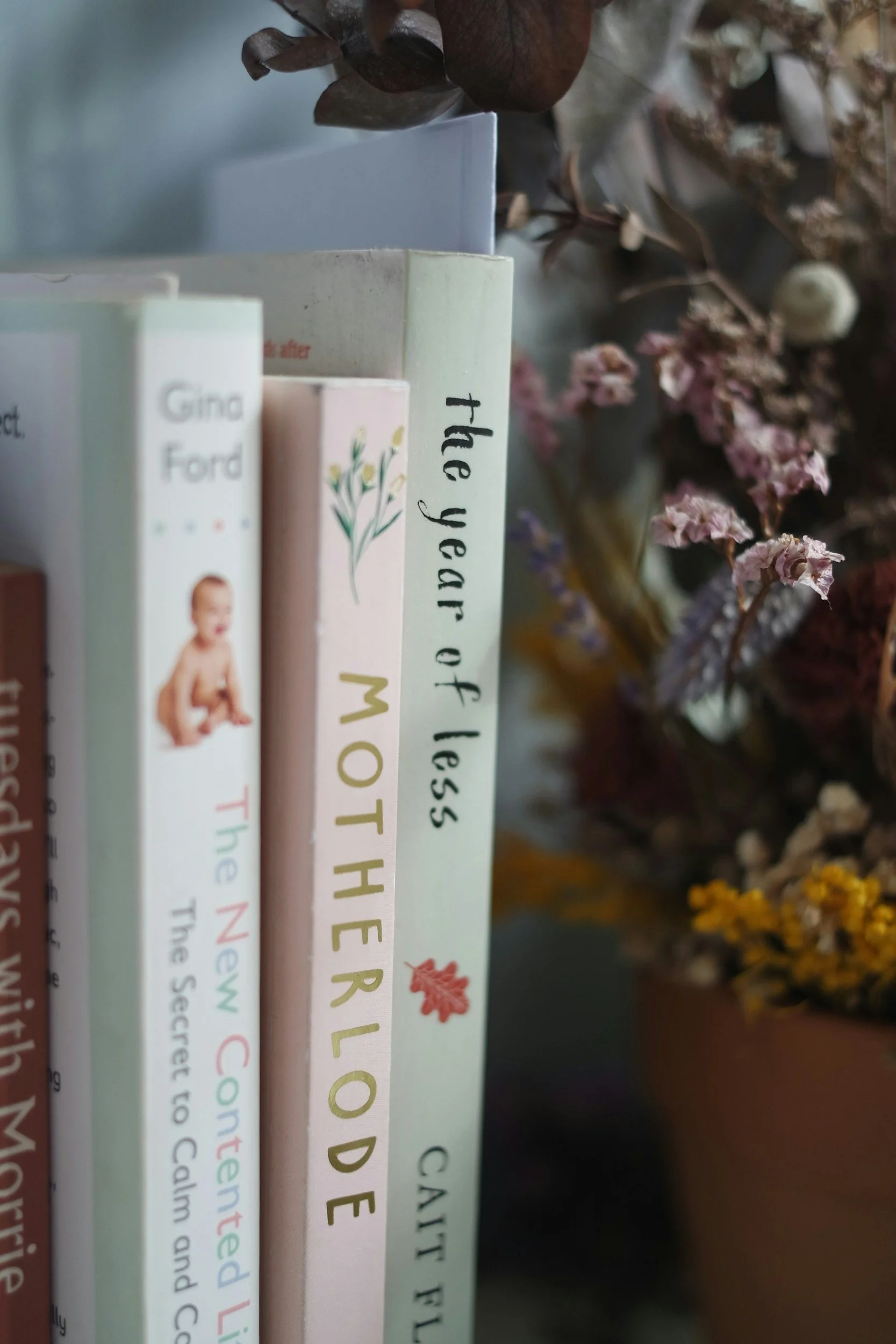 Collection of pregnancy and postpartum books for expectant and new mothers, featuring educational resources on childbirth, maternal wellness, postpartum recovery, breastfeeding, and newborn care.