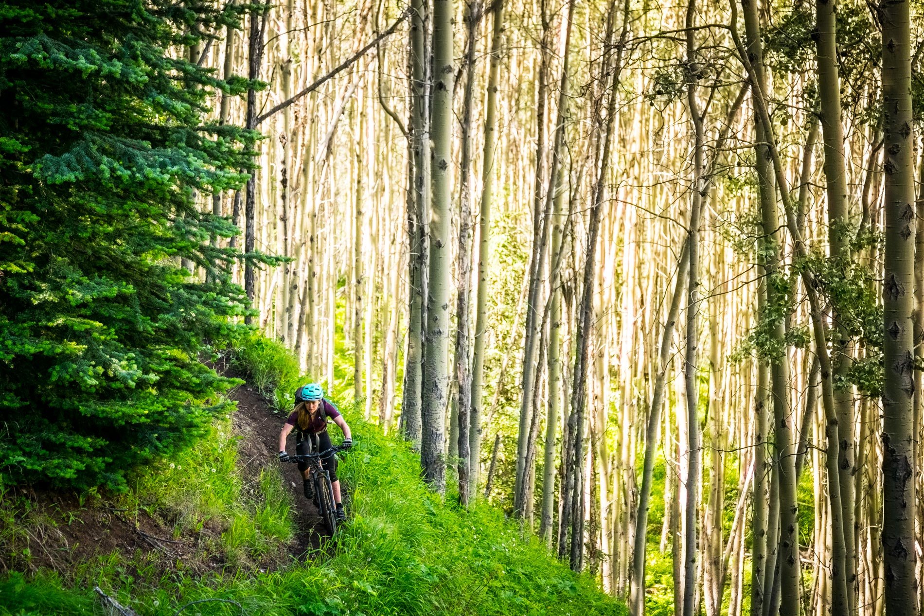 PC Brian Goldstone-Aspen stand on Gun Meadows Trail.jpg