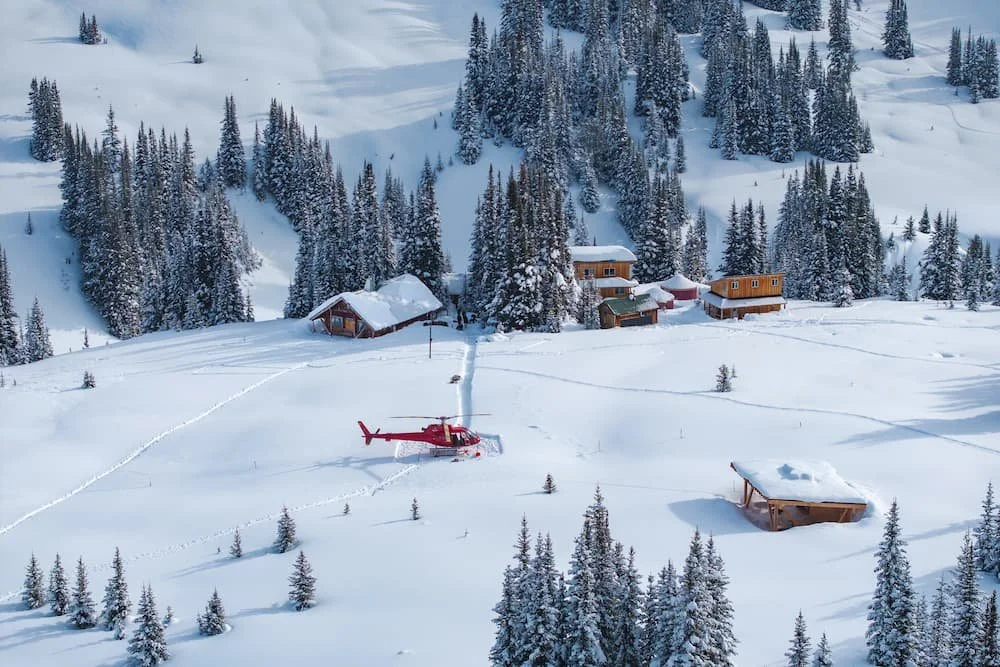 250322_whitecap_-24 (2) (1).jpg