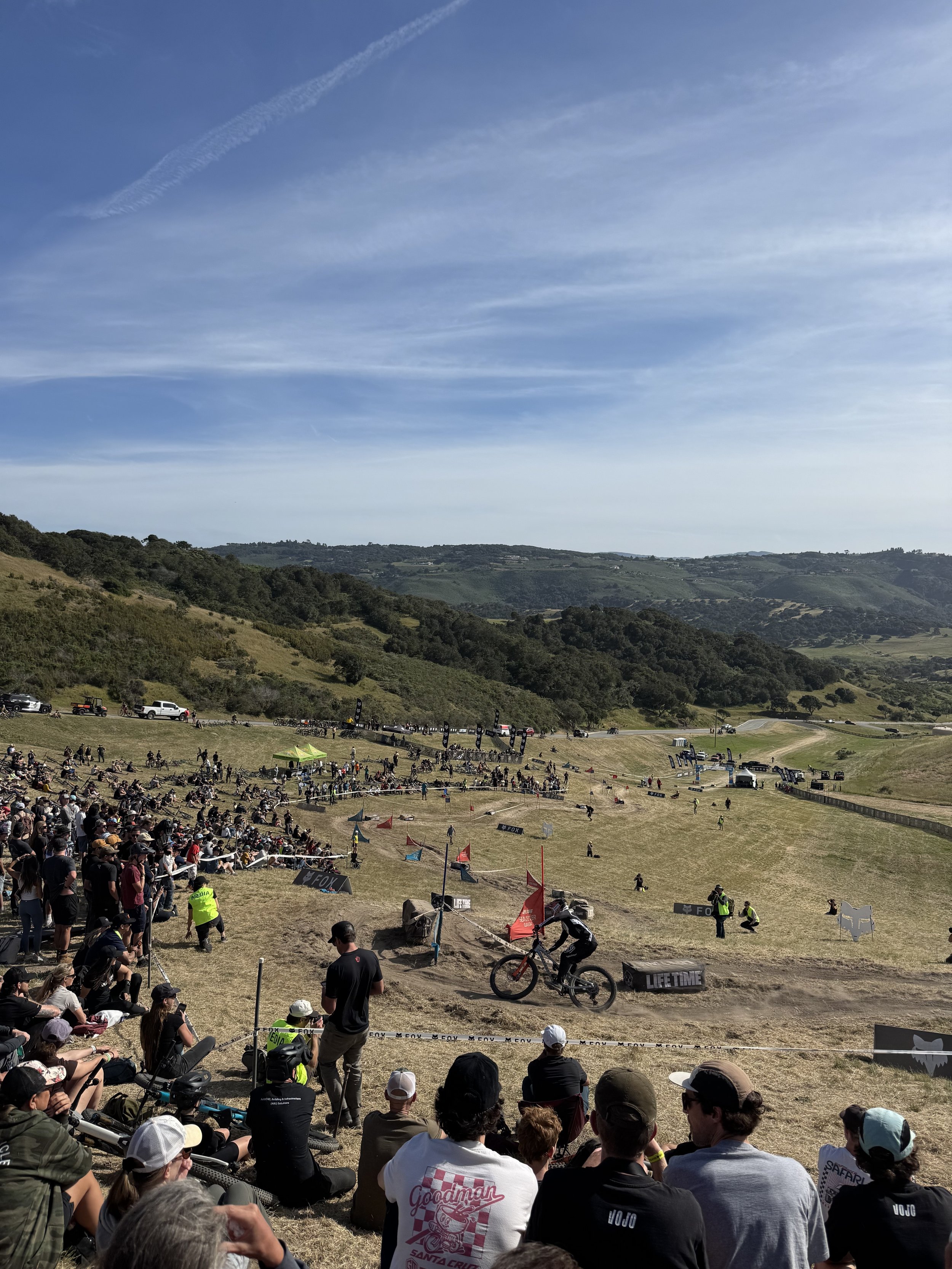 IMG_9852.jpeg